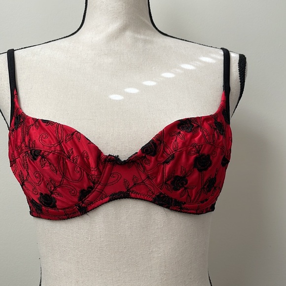 Victoria’s Secret Embroidered Demi Bra - Picture 4 of 16